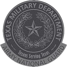 TNG_Grey_Logo.png