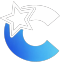Carbon Customs