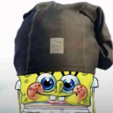 :Sponge :