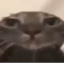 colonelfp14