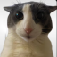 Meowser The Absolute