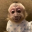 00000