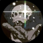 Myst_coconut