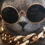 PixiBro