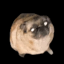PUG
