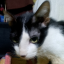 Quitem