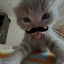 Hashir