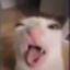 Joe22764