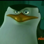 Skipper