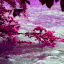 𝐿𝓊𝓂𝑜𝓃 𝒥𝓊𝒸𝑒