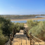 Harry