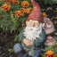 Gnome Gardens