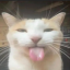 𝓧𝓪𝓿𝓲𝓮𝓻