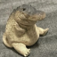 Chonk