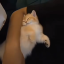 Mari’s Good Boy <3
