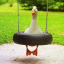Goose