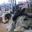 FLOOFS18